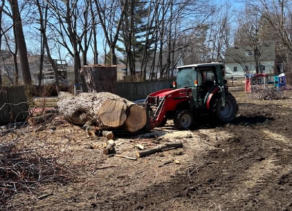 Élagage et abattage d'arbres